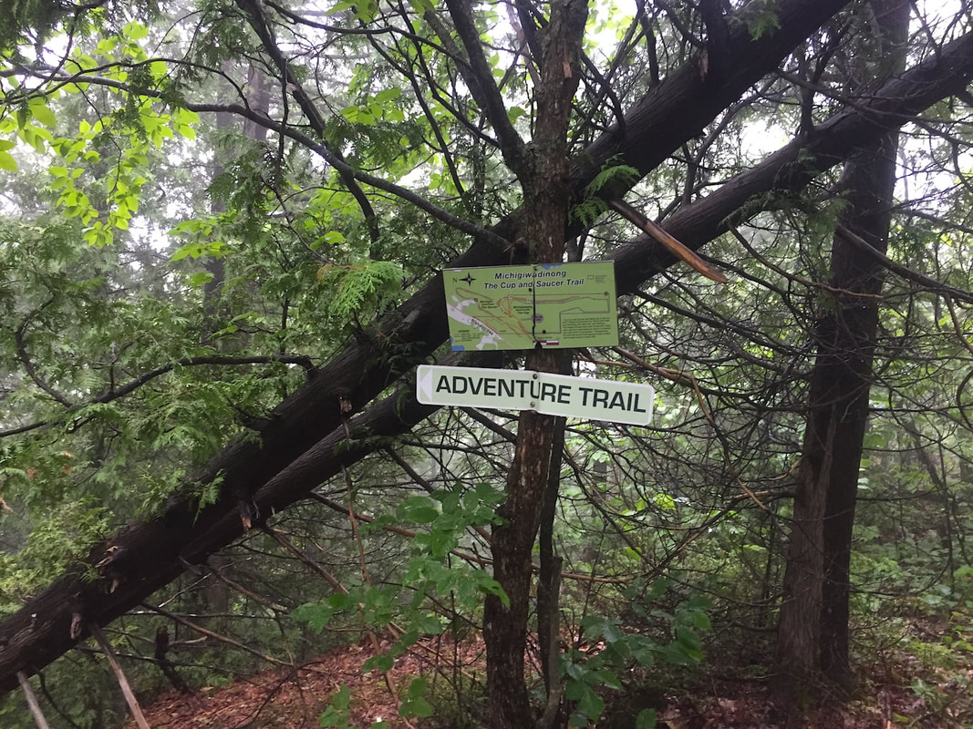 A small sign indicating the start of the Adventure Trail in the woods.