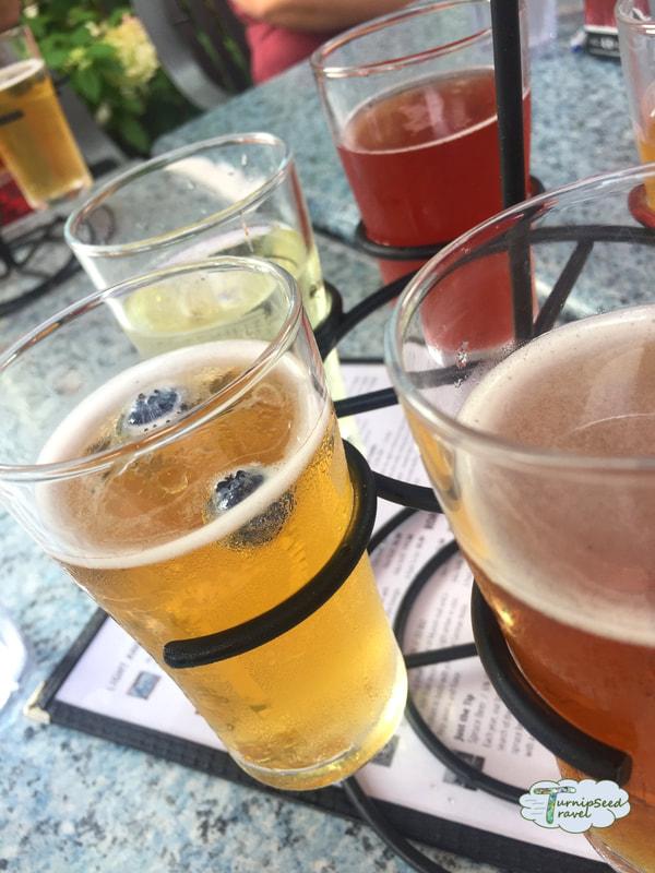 Beer flight featuring blueberry wheat ale at Ellicottville Brewing Company 