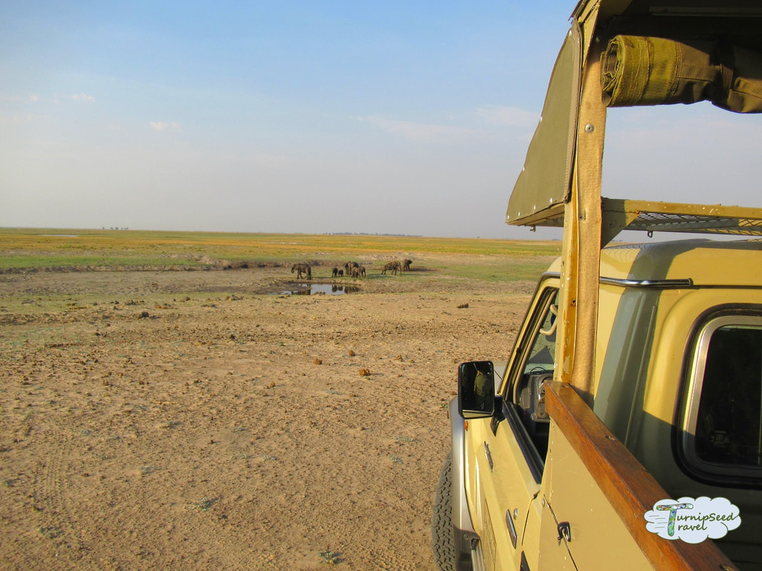 Safari jeep while on a game drive in Botswana Picture