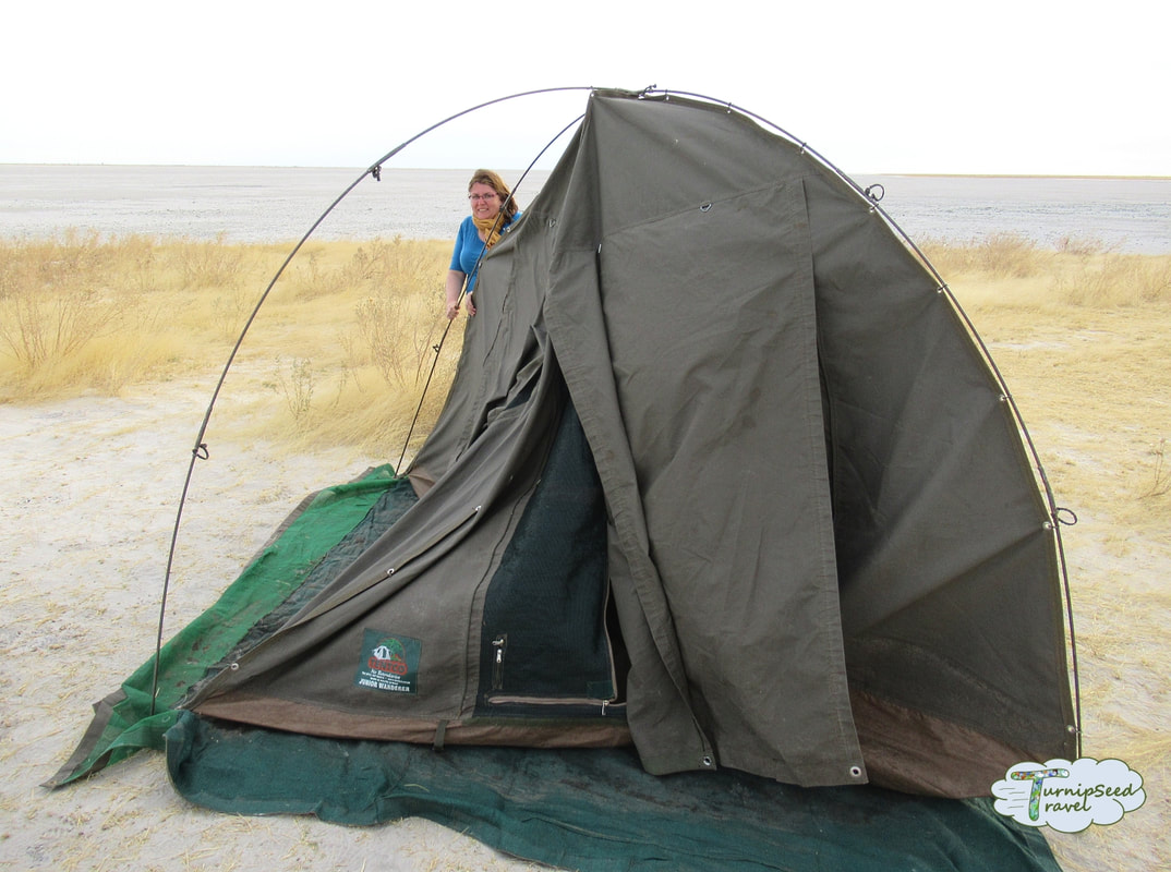 Setting up tent Botswana safari camping 