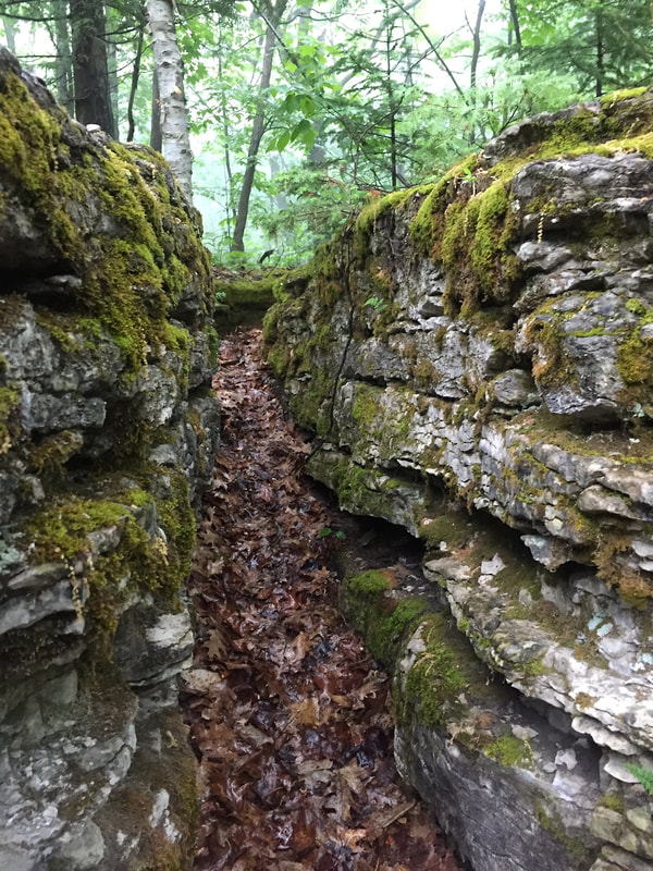 A crevice in the moss covered rocks