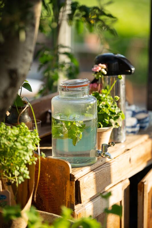 Jug of water with mint and background shows plants and coffee carafe 