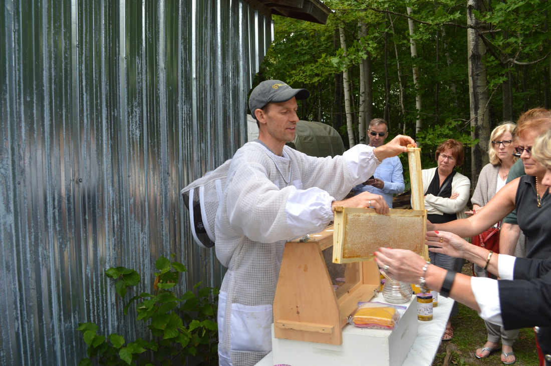 A beekeeper shows off honeycomb
