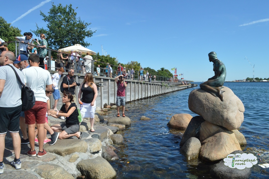 The Little Mermaid Copenhagen Crowds Picture