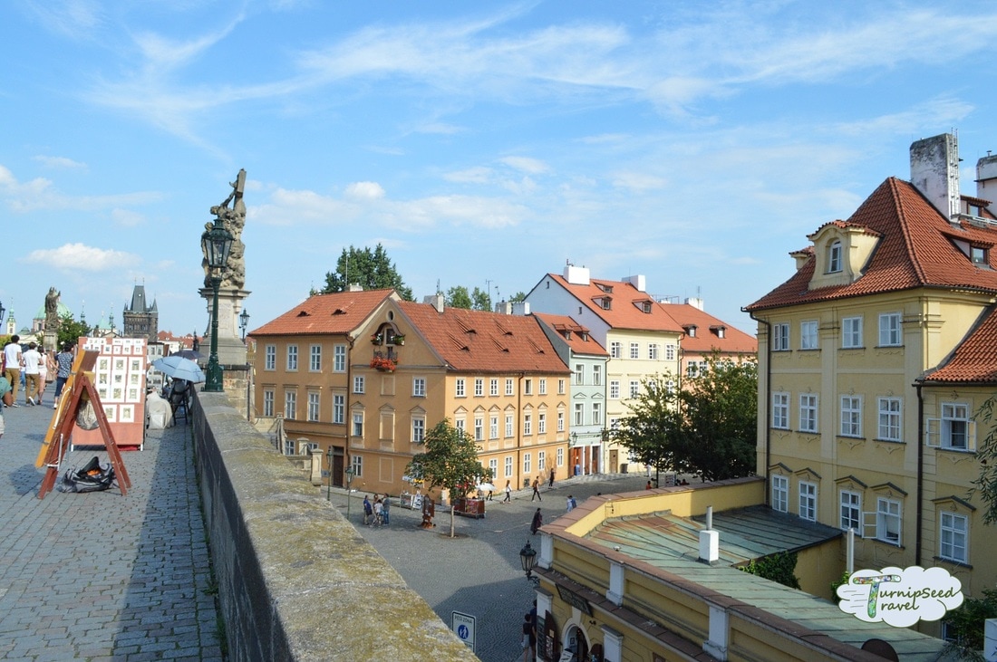 View from Charles Bridge Picture