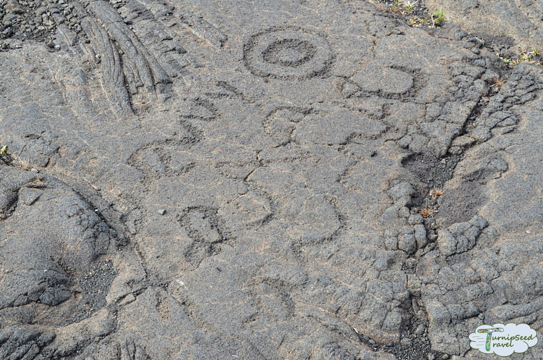 Hawaiian petroglphys: A close up of carvings in the black lava rockPicture