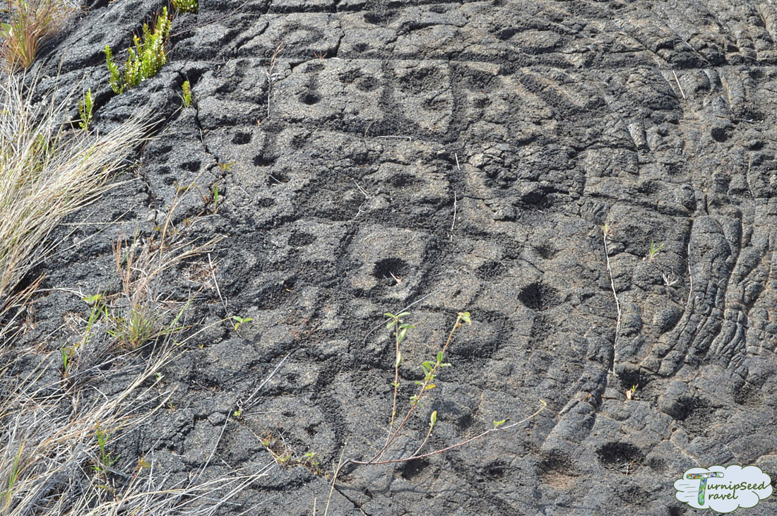 Hawaiian petroglyphs: Carvings in black lava rock
