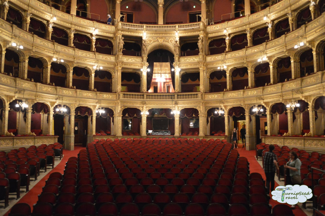 A view of the opera house from the stage
