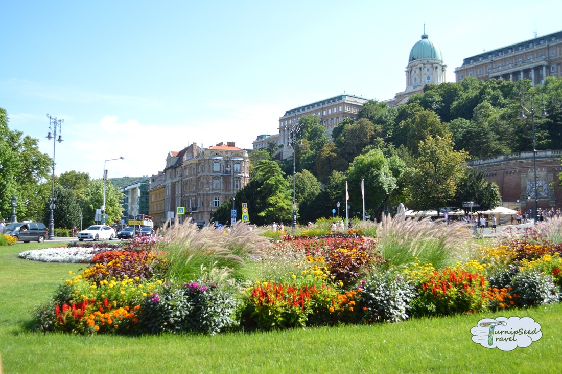 Public gardens in Budapest Picture