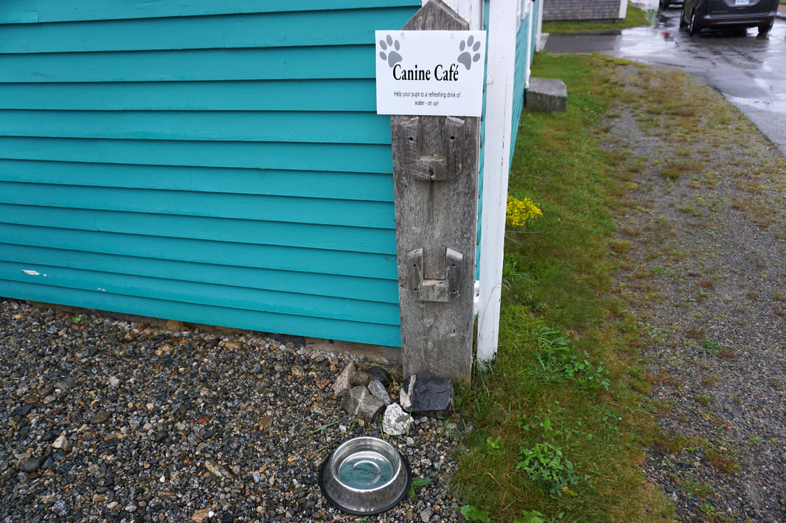 A small metal water bowl sits on the ground next to a sign that says 