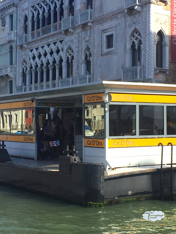 Riding the vaporetto in Venice Picture