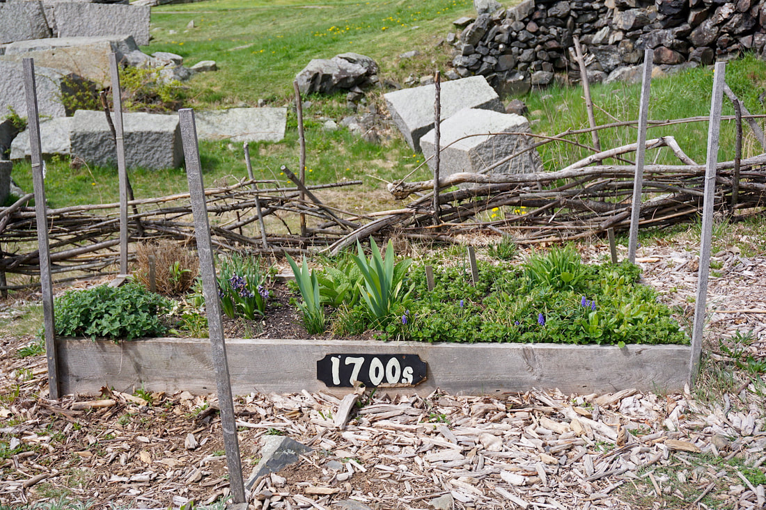 A small wooden herb flower bed with a sign saying it's from the 1700s