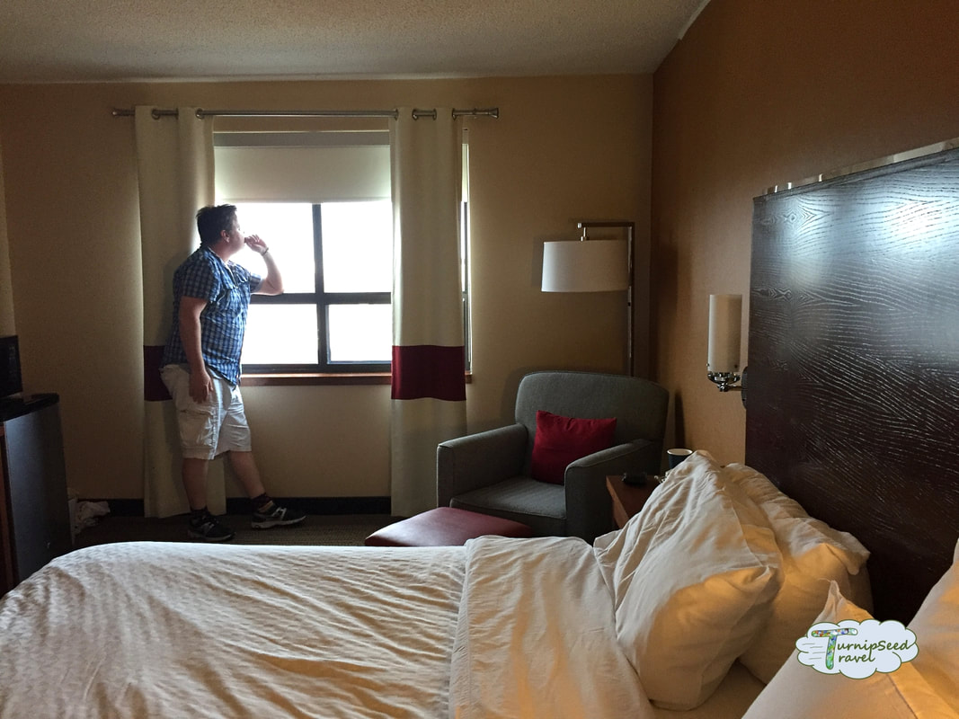 Kingston hotels downtown: A room at the Four Points Sheraton Picture