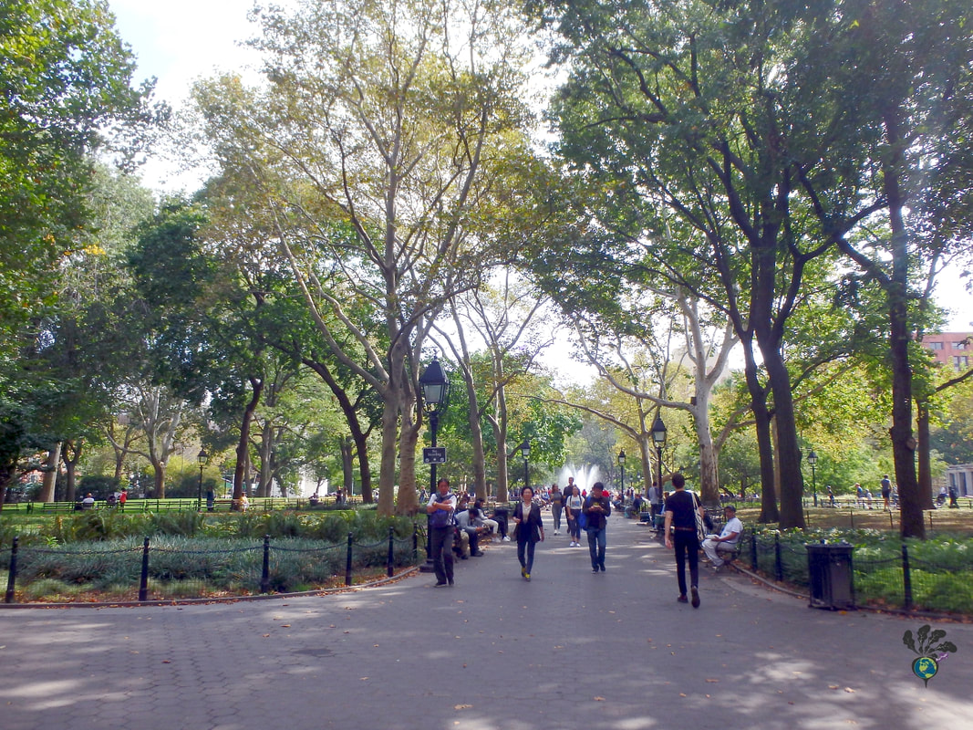 Greenwich Village food tour New York: Washington Square Park trees and walkways