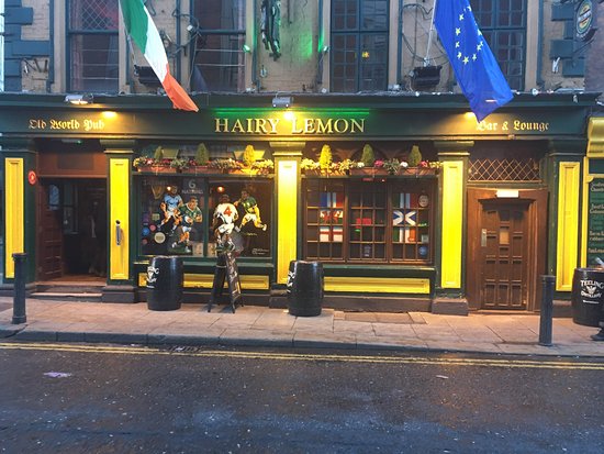 Hairy Lemon pub review Exploring Dublin's Cozy side by TurnipseedTravel