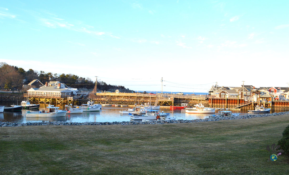 Small fishing boats in Ogunquit Harbor at dusk Picture