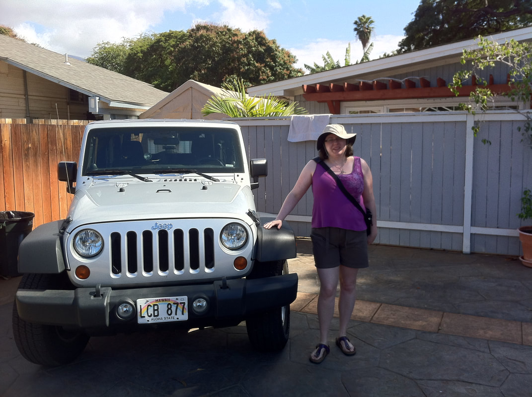 Standing next to our grey rental jeep Picture