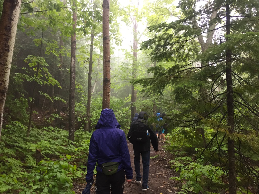 Hikers on the trail in different coloured rain coats, as seen from behind.