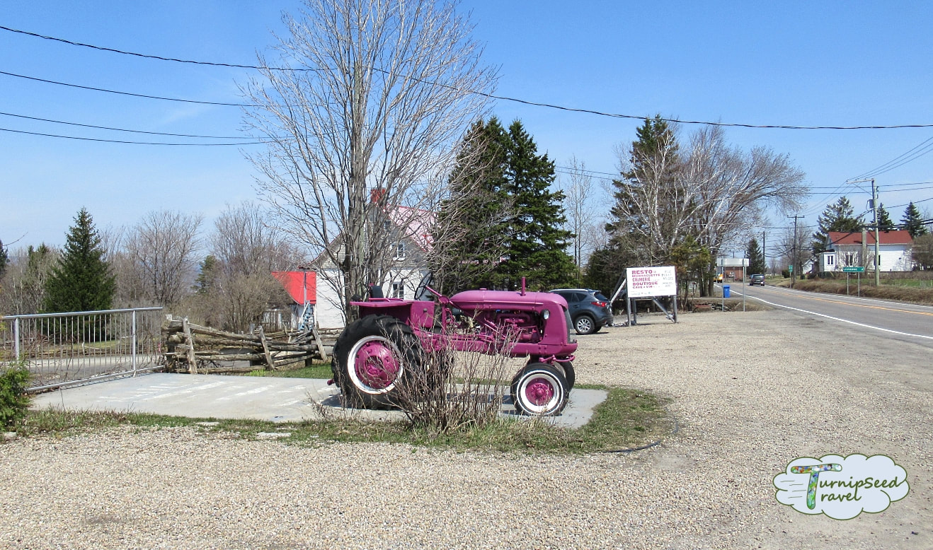 Purple tractor outside Cassis Monna et Filles on the Quebec City Food Tour Picture