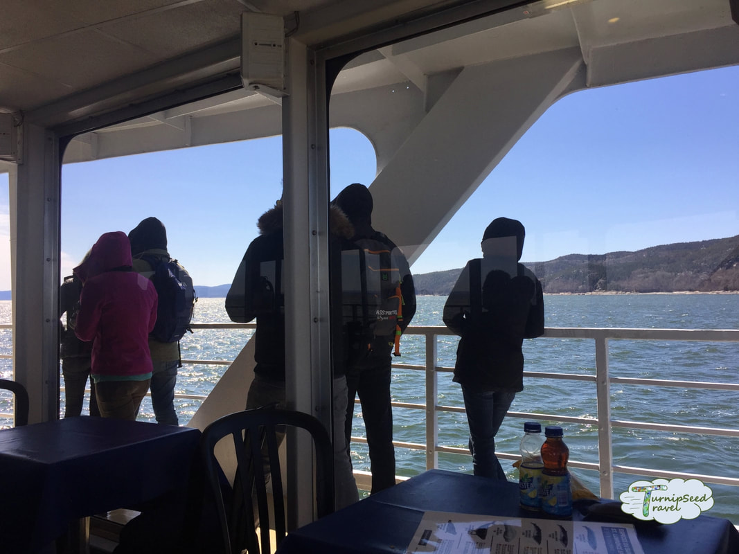 Whale watching in Tadoussac interior of boat Picture