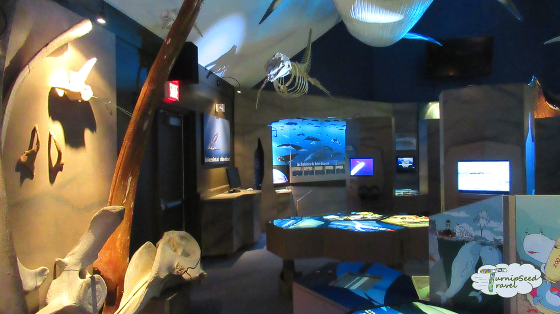 Marine Mammals Interpretation Centre Picture