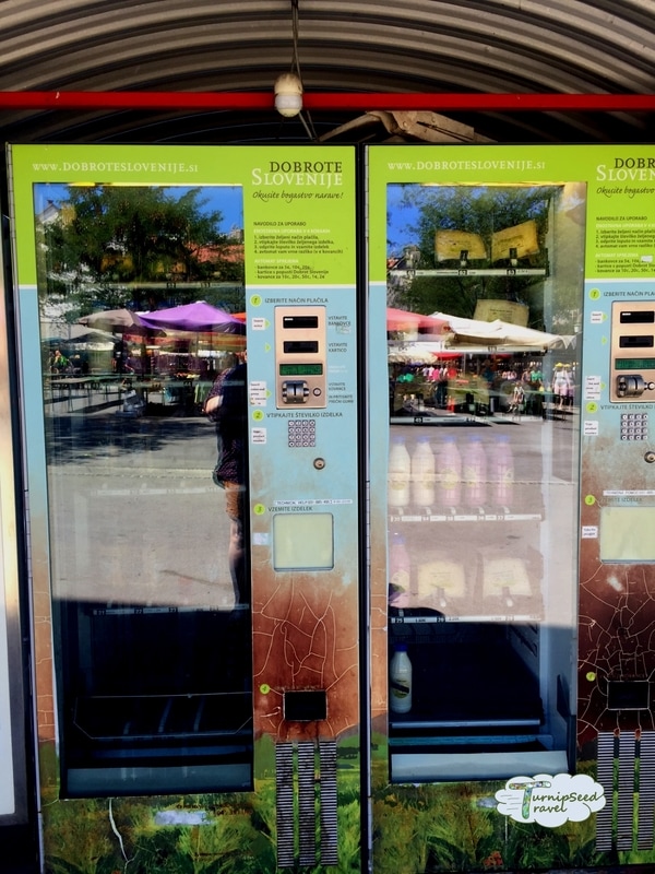 Dairy vending machine Picture