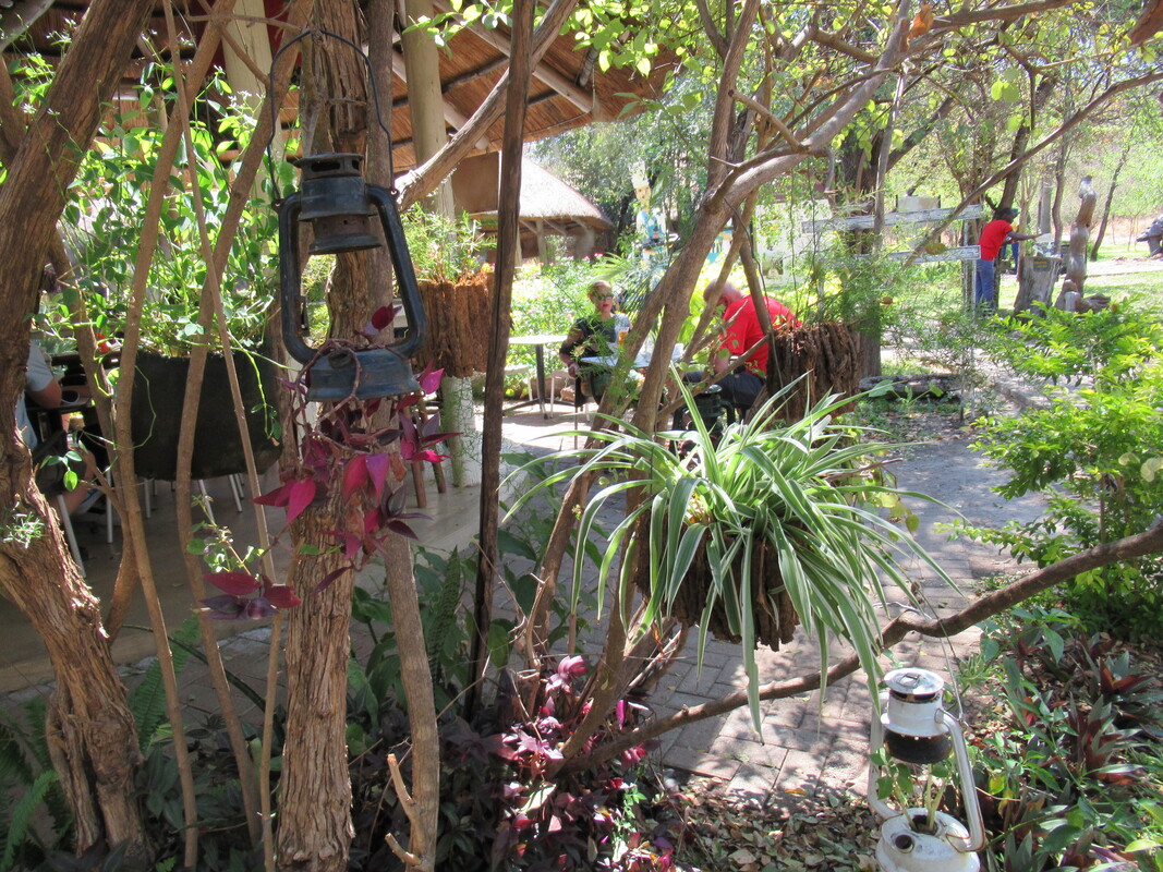 Colourful hanging plants and gardens at an outdoor cafe in Zimbabwe Picture