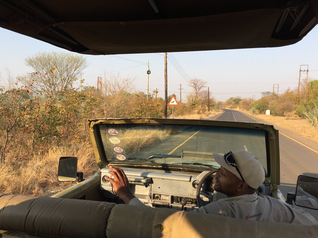 The safari guide slows down and points to something in the distance while driving the safari jeep