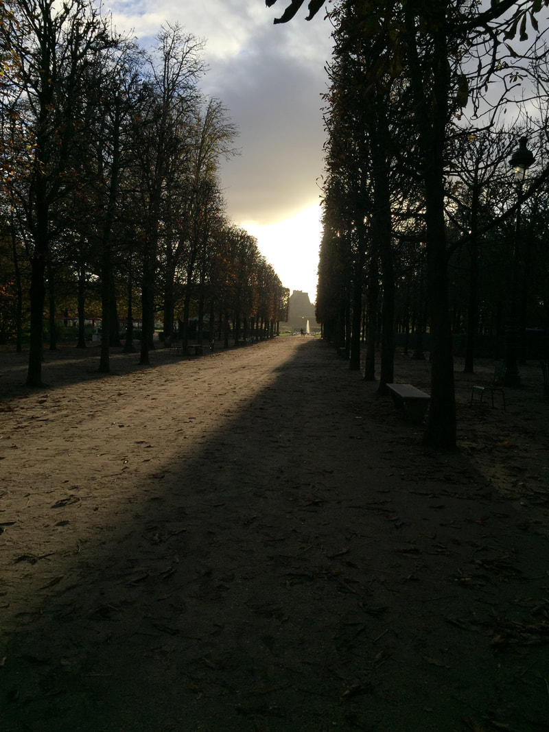 Sun beaming through the trees at the Tuileries Garden