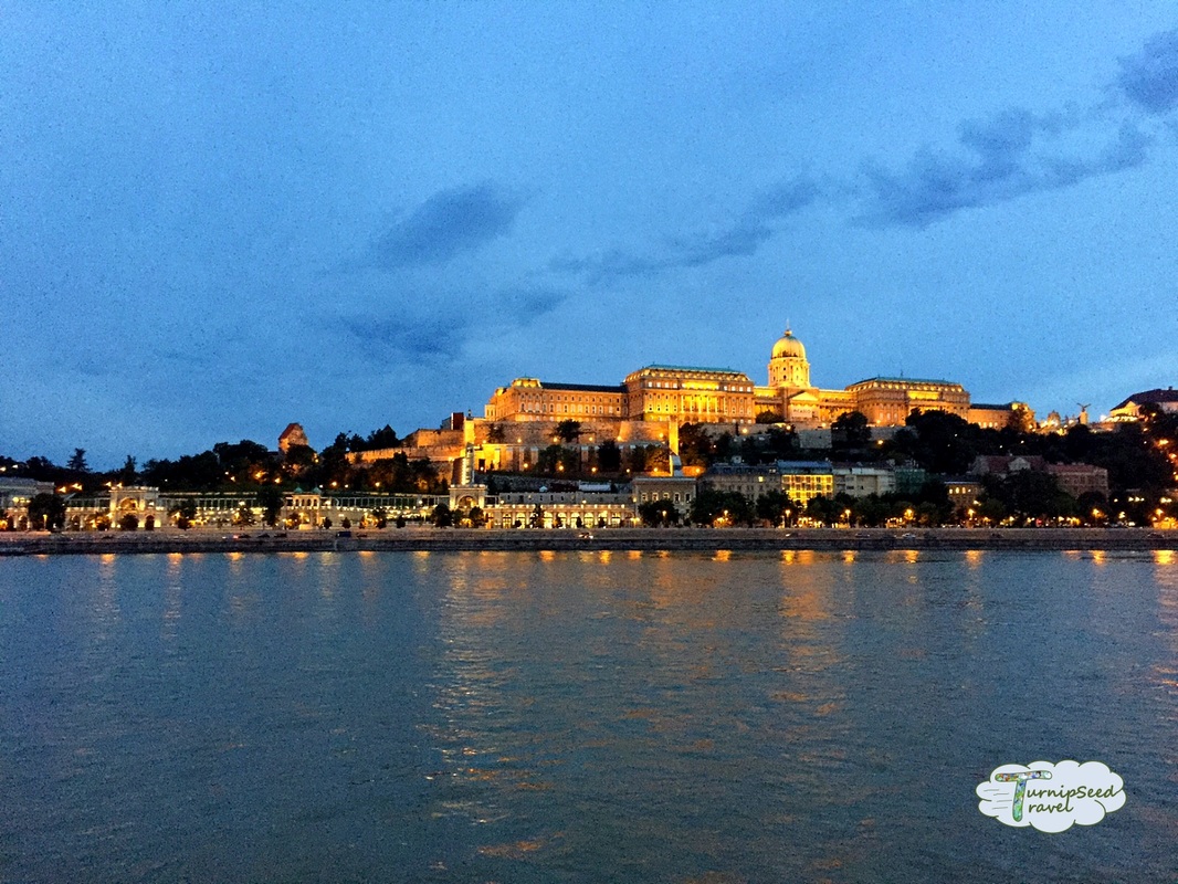 View of the Danube river in Budapest at night. Picture