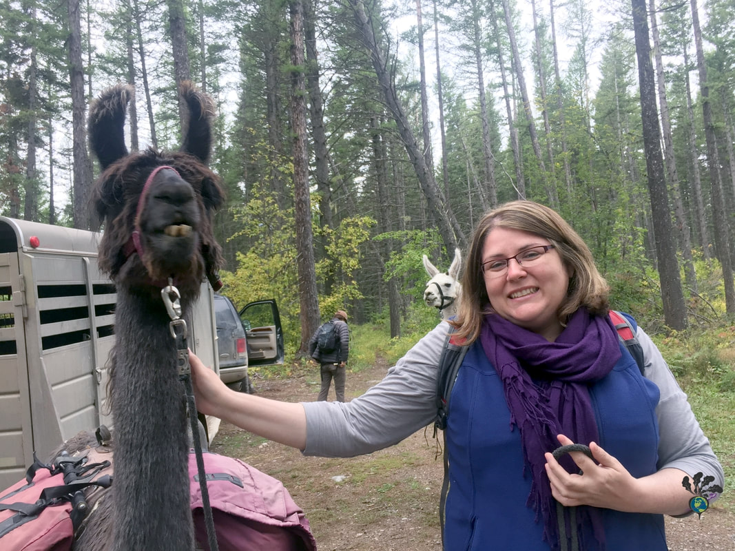 Raffi the brown llama and Vanessa wearing a blue hiking vest in the Montana forest Picture