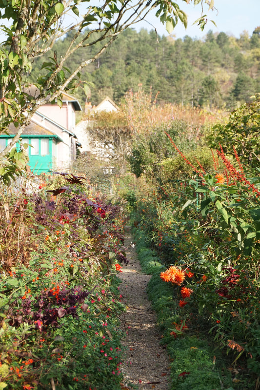 Overview of the garden with a path and orange flowers