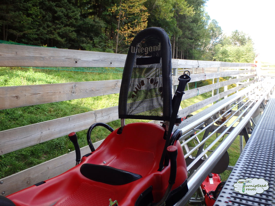 Red Mountain Coaster car in Ellicottville, New York