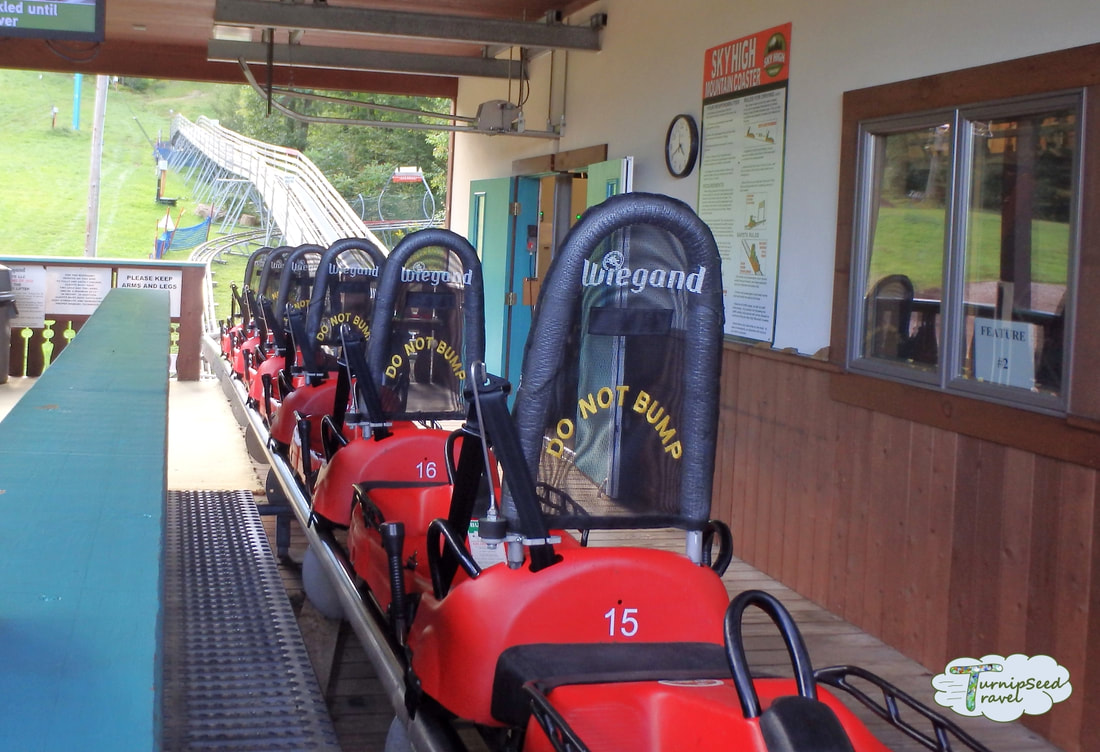 Red mountain coaster cars in Ellicottville, New York