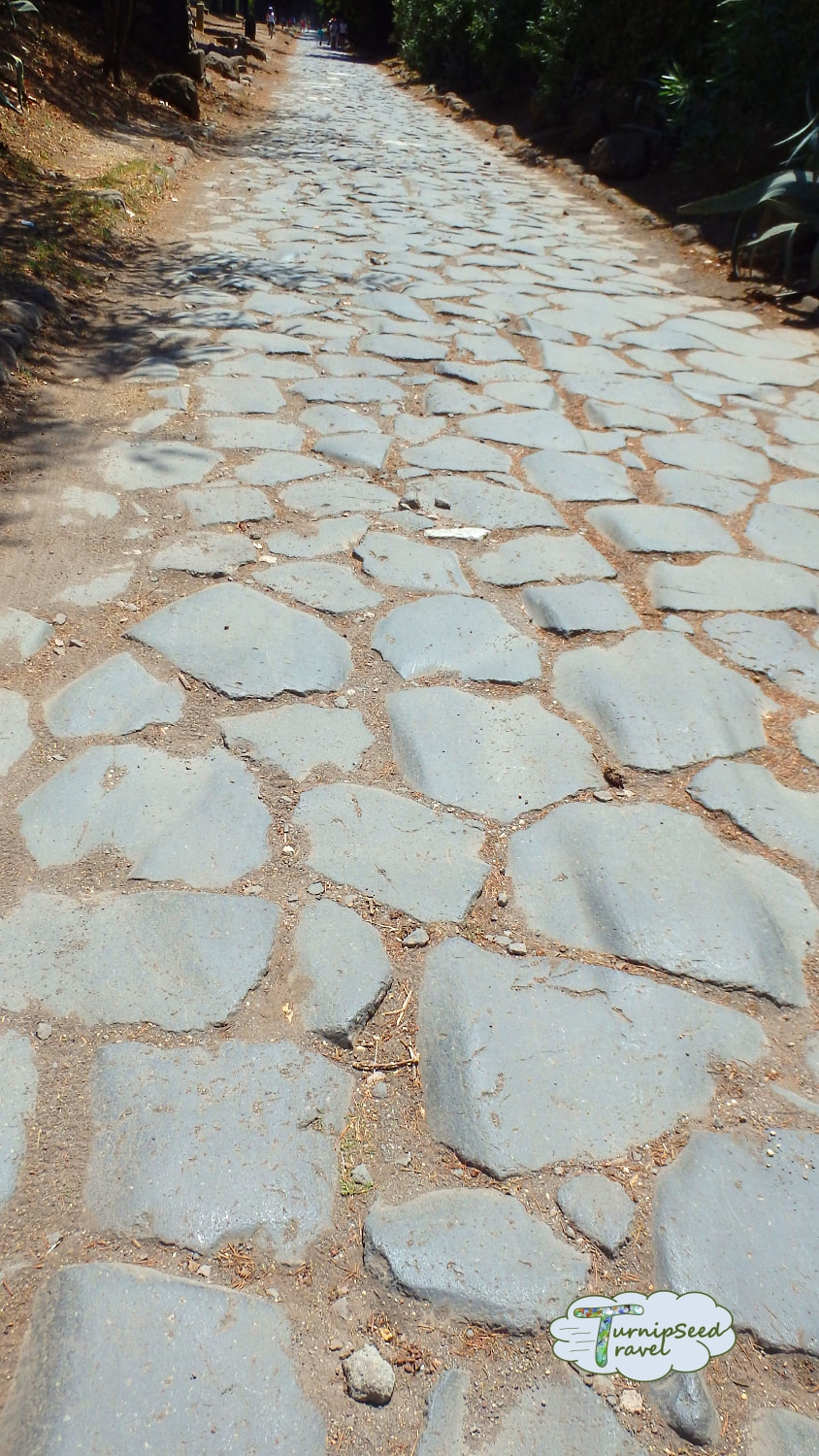 Groove in road from chariot wheels along the Appian Way Rome Picture
