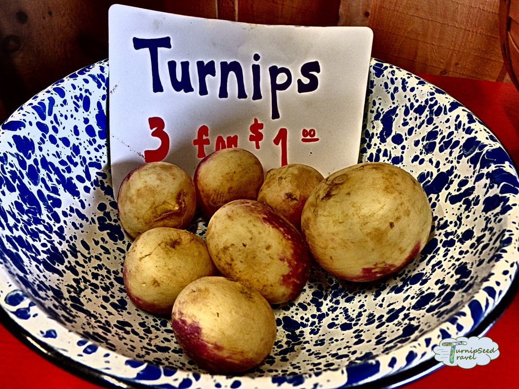 A blue and white speckled bowl containing small white and purple turnips.