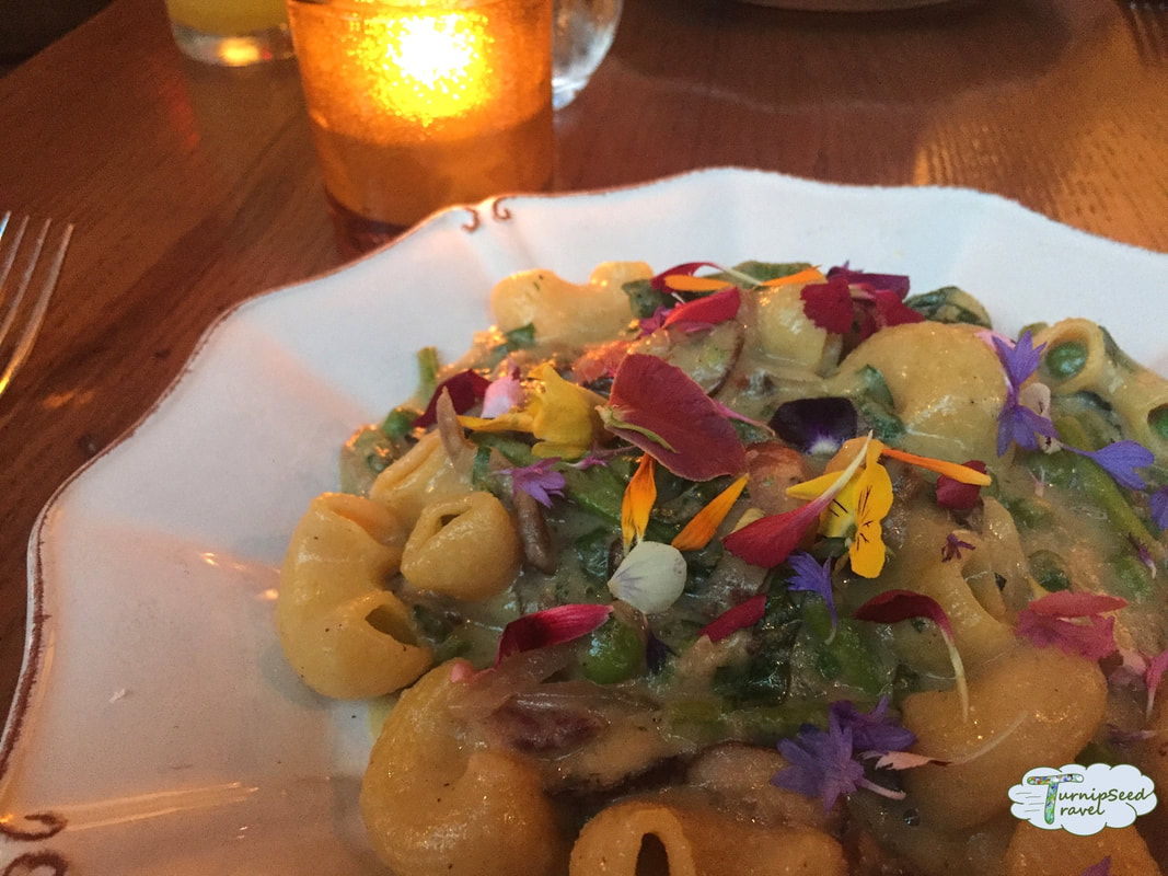 Pasta primavera with edible flowers at Casa Luca Picture