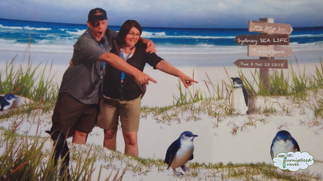 Ryan and Vanessa point to a picture of penguins on a sandy beach