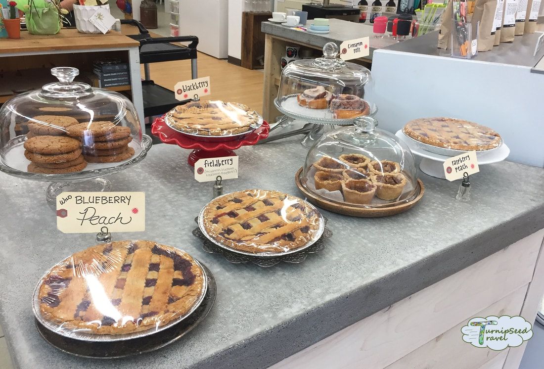 Pies on display at the Perth Pie Co