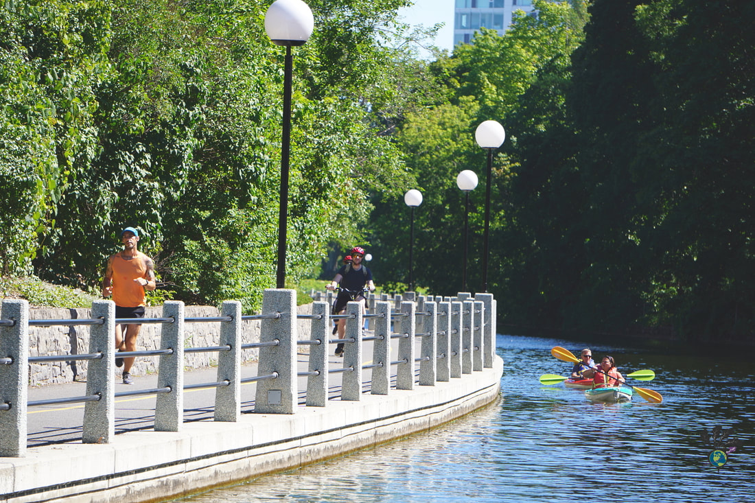 People kayak on the Rideau Canal while a man jogs on a nearby pathre