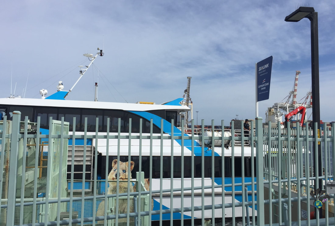 Blue and white ferry boat behind the grey metal gates and platform that passengers line up on Picture