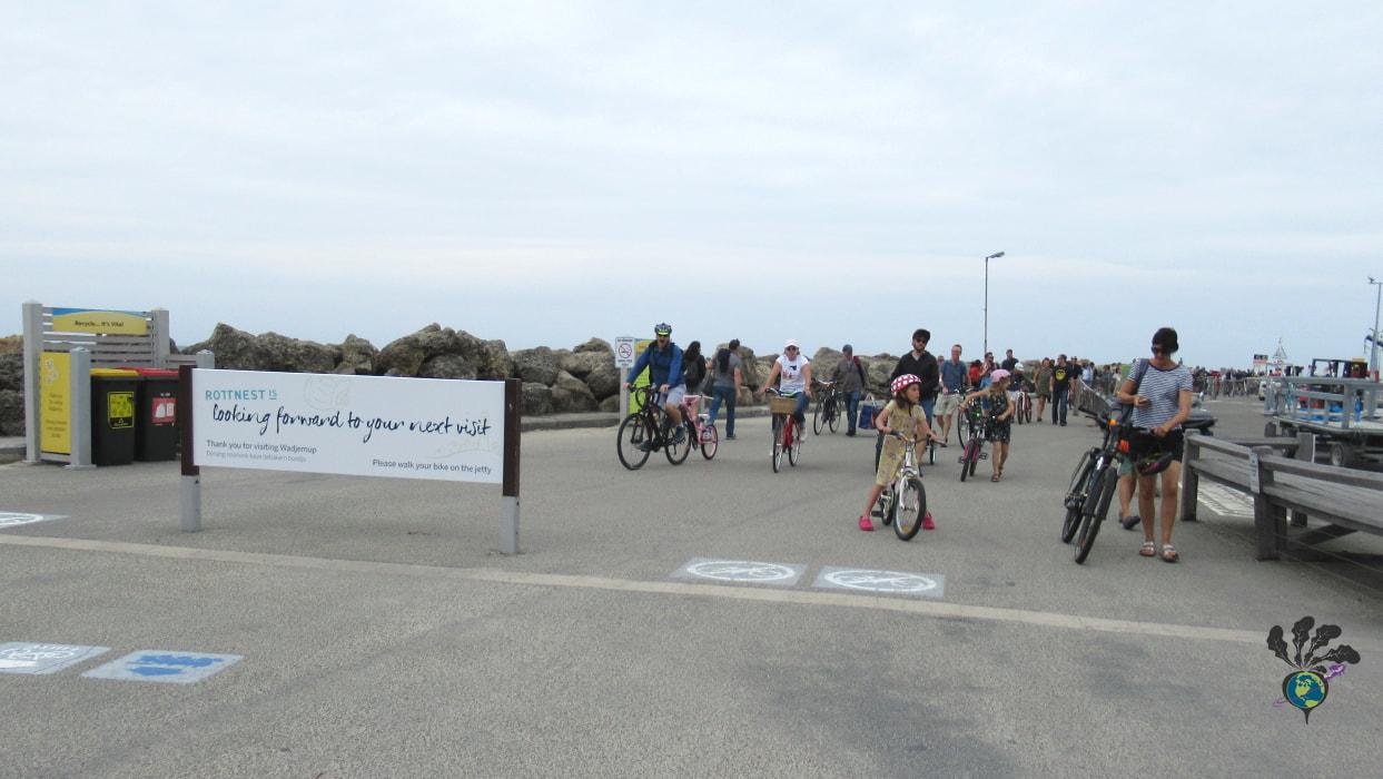 Passengers with bikes line up on the wharf Picture