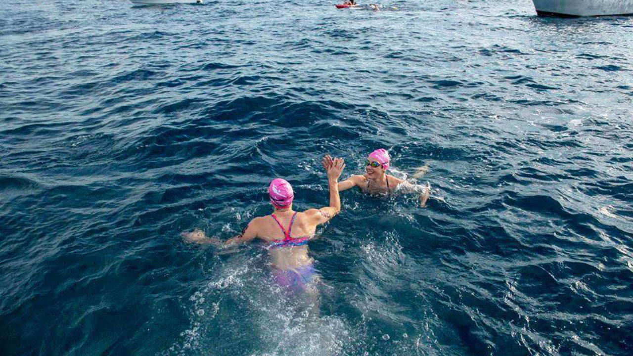 Two swimmers in pink swim caps high five while in the ocean: Swimming to RottnestPicture
