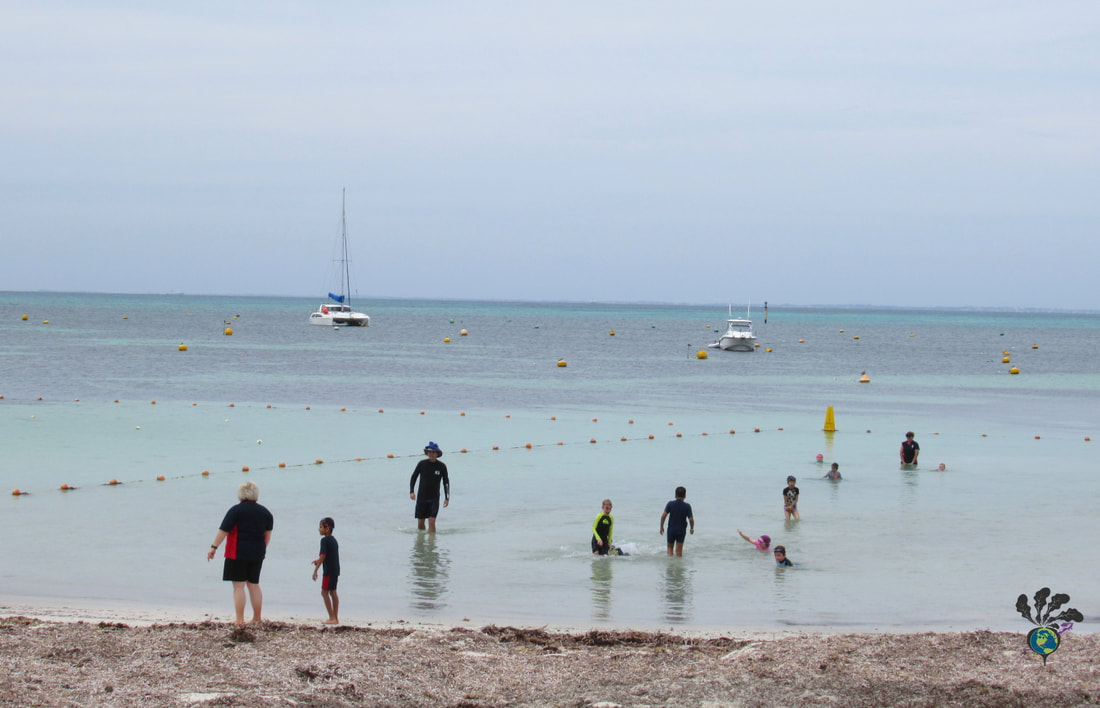 Children swim in a ropped off area of a beach Picture