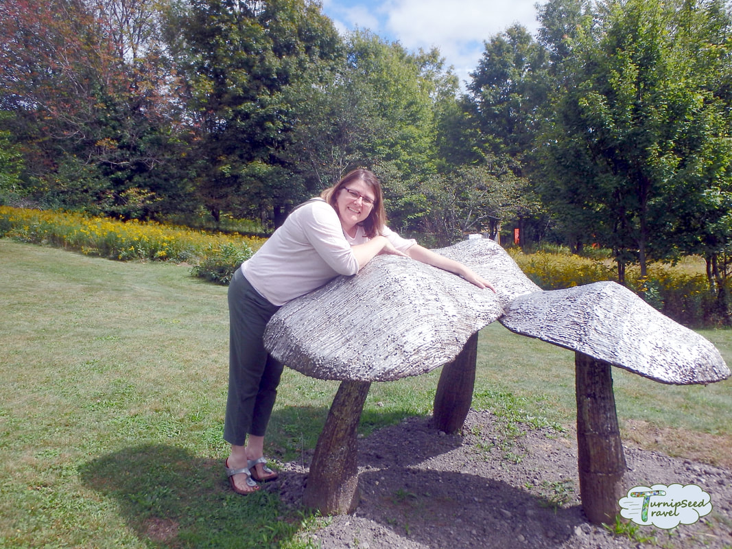 Things to do in Ellicottville: Posing with metal mushrooms at the Griffis Sculpture Park 
