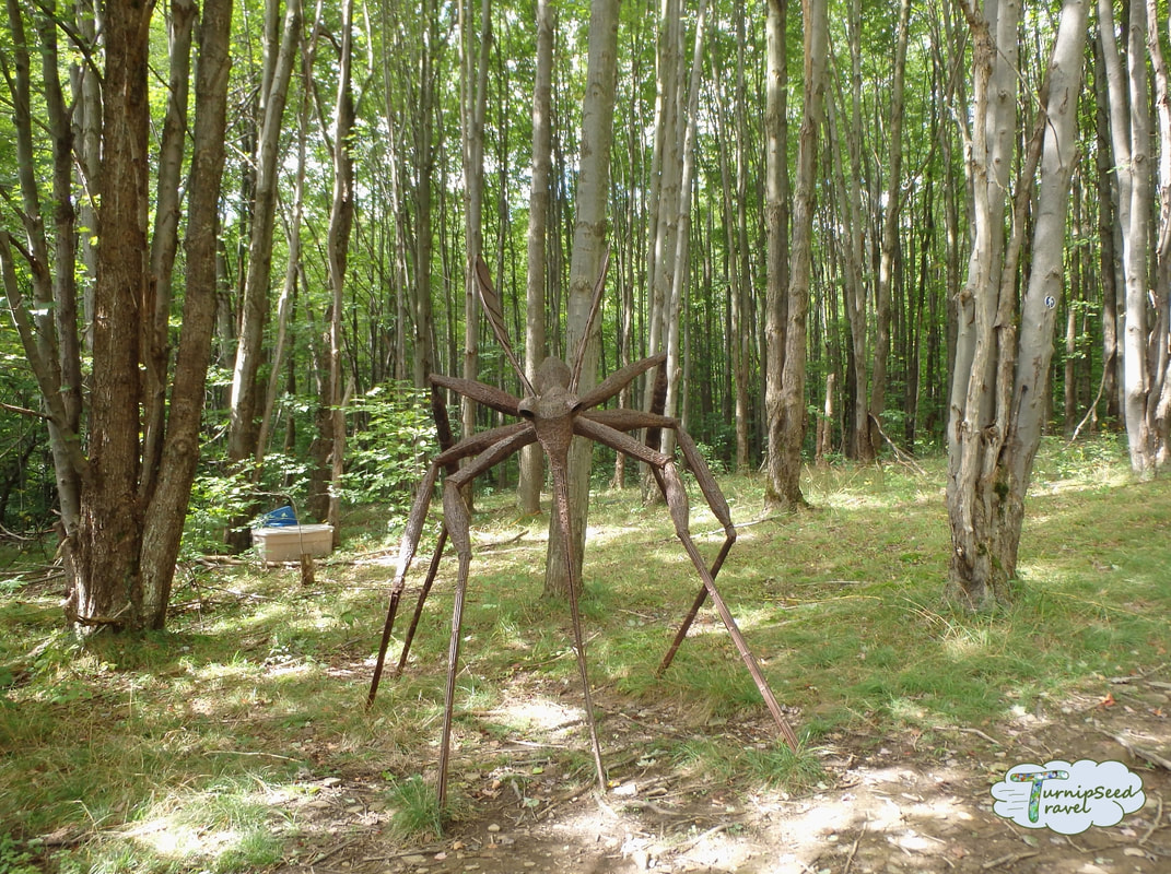 Griffis Sculpture Park Ellicottville NY Mosquito made of metal