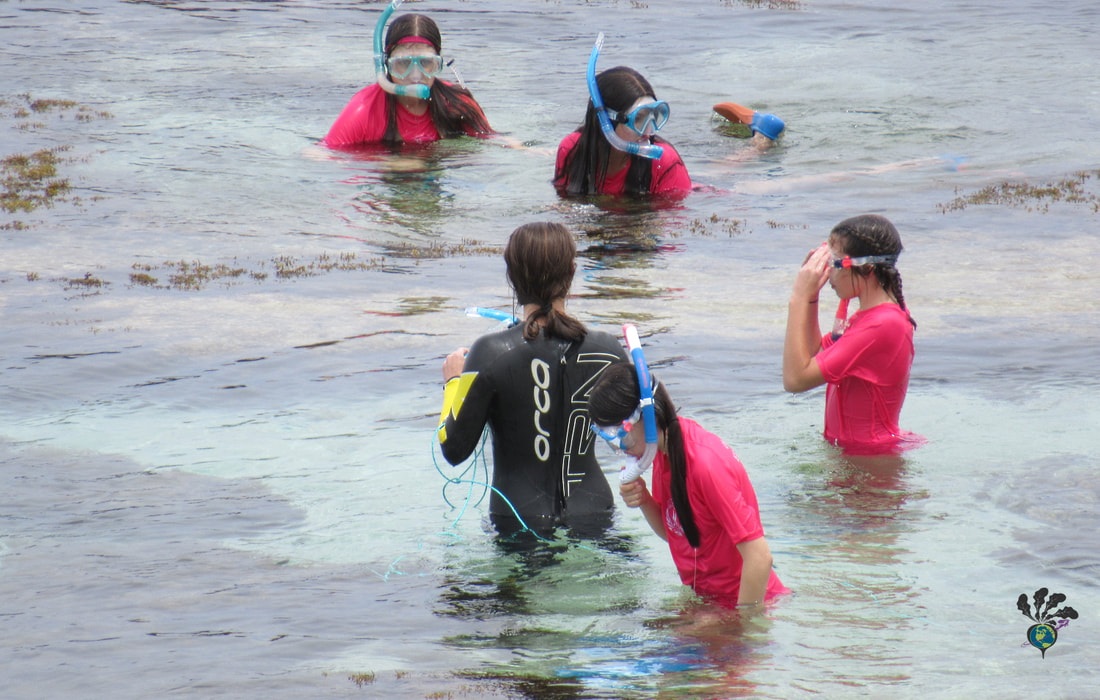 Children in pink shirts take a snorkelling lessonPicture