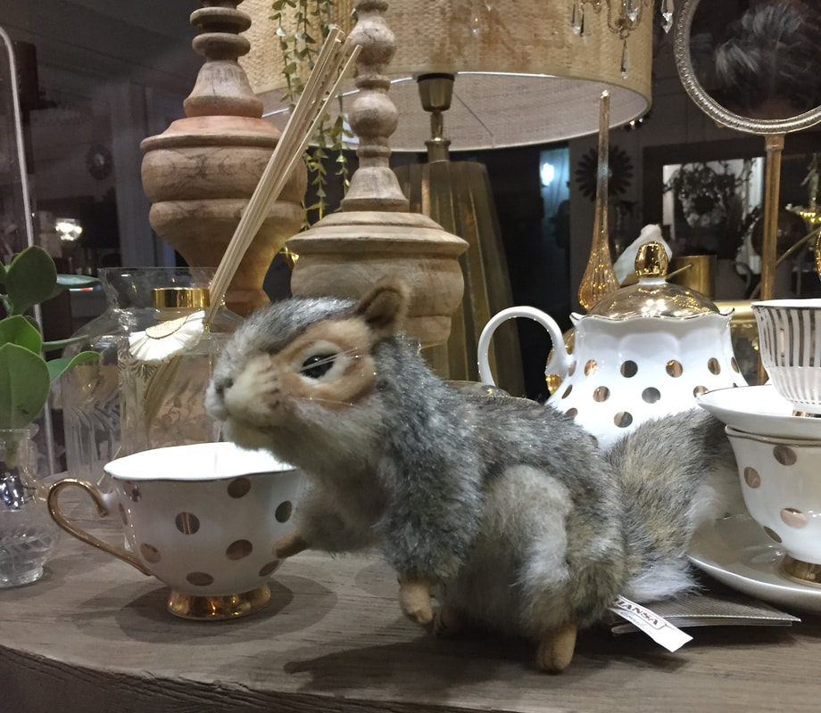 A plush grey squirrel is part of a window display with white china with gold dots.