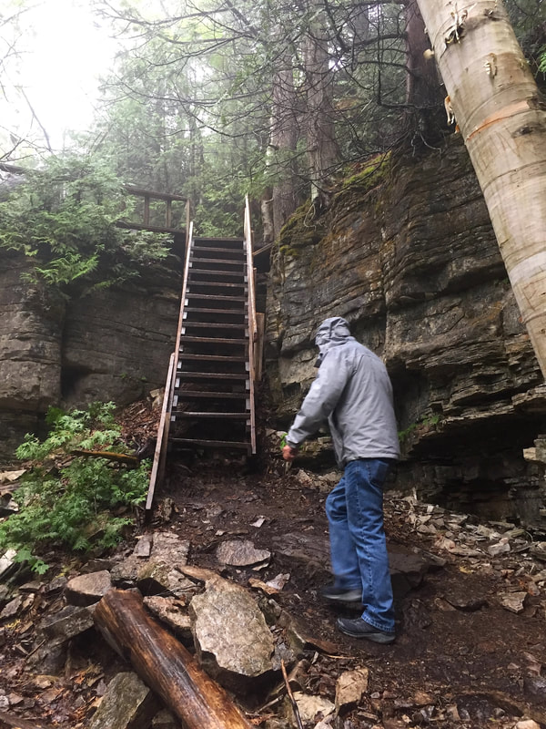 A person in a grey rain coat approach a set of wooden stairs along the trail.