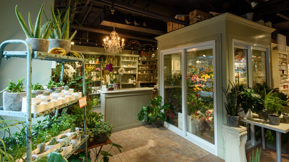 Interior of the flower shop Cozy microadventures for Ottawa travellers by TurnipseedTravel.com